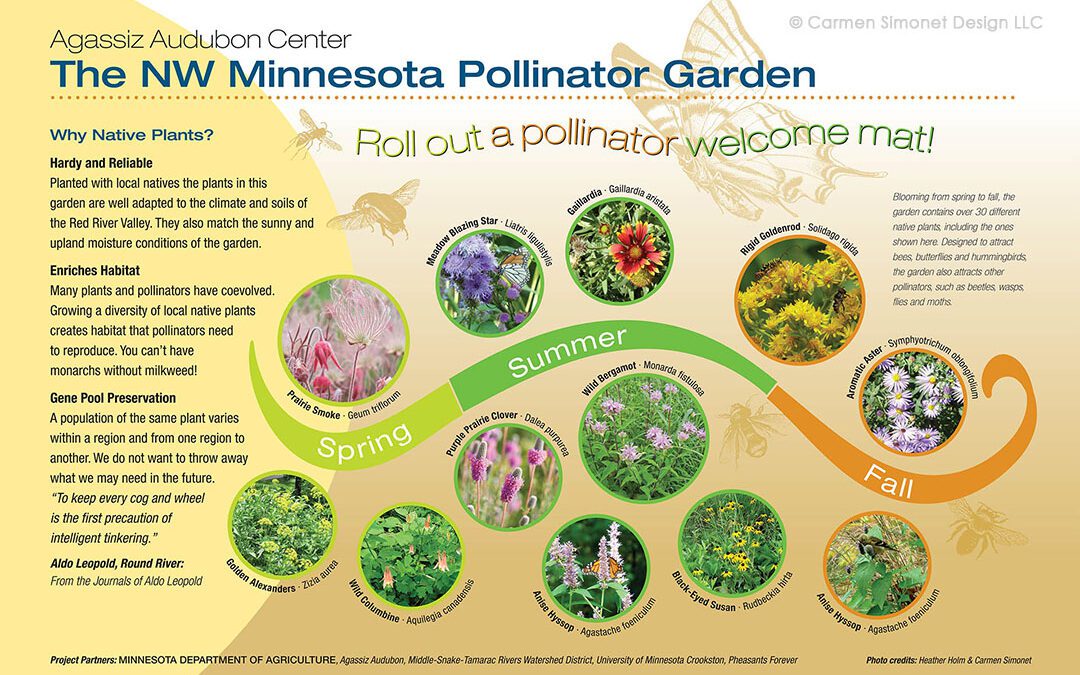 NW Minnesota Pollinator Garden